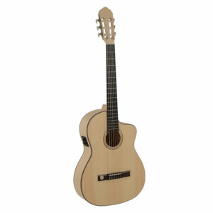 Guitare électro-acoustique VGS Pro Natura Silver Samba