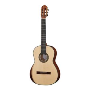 Guitare acoustique Manuel Rodriguez Magistral D-S