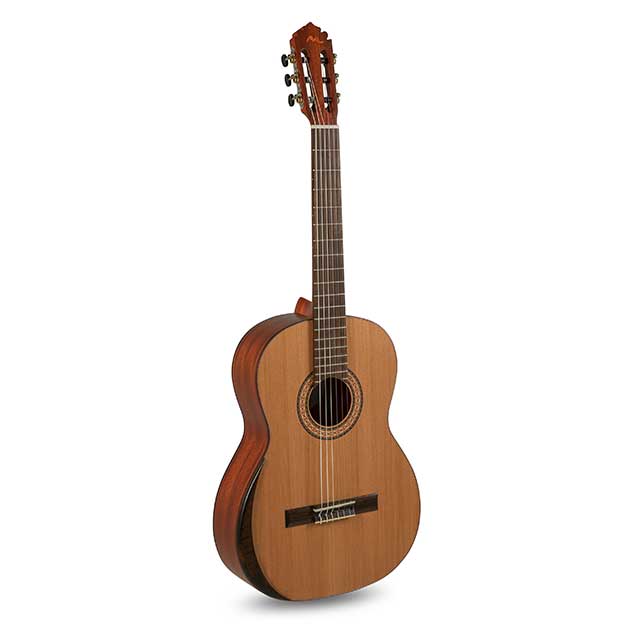 Guitare acoustique Manuel Rodriguez Tradicion T65